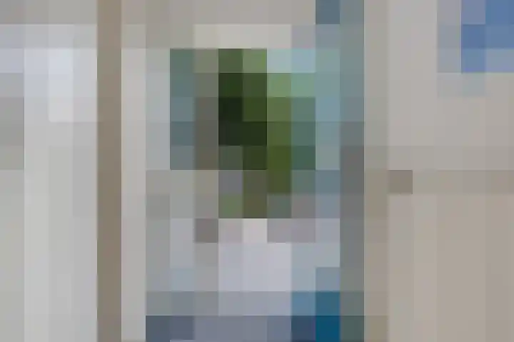 De Vlet 26 1 Grou thumbnail 12