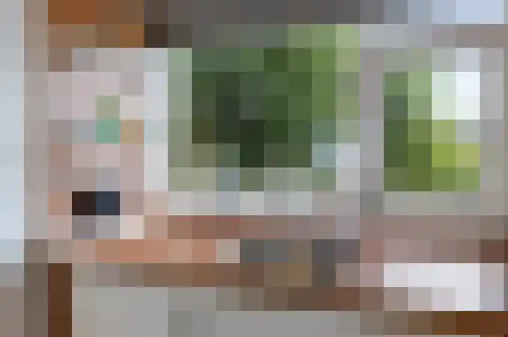 De Vlet 26 1 Grou thumbnail 15