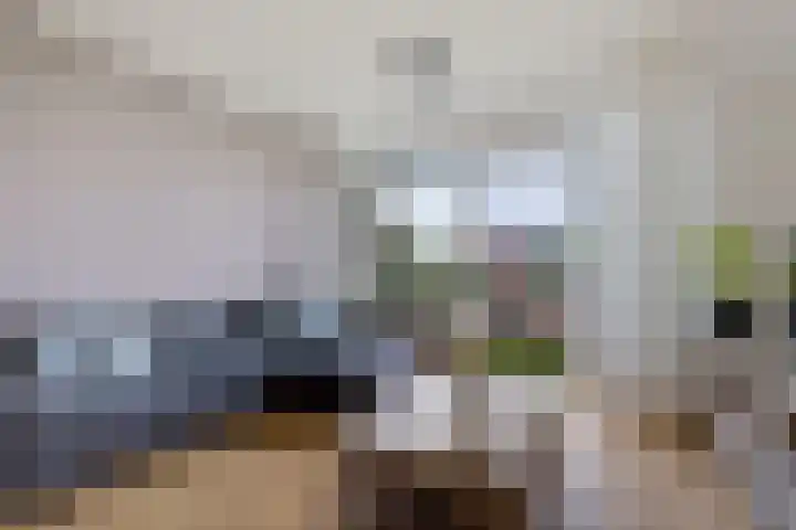 De Vlet 26 1 Grou thumbnail 17