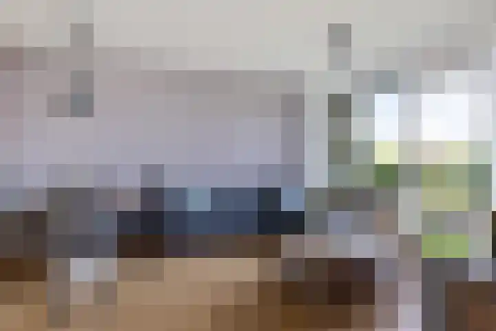 De Vlet 26 1 Grou thumbnail 21