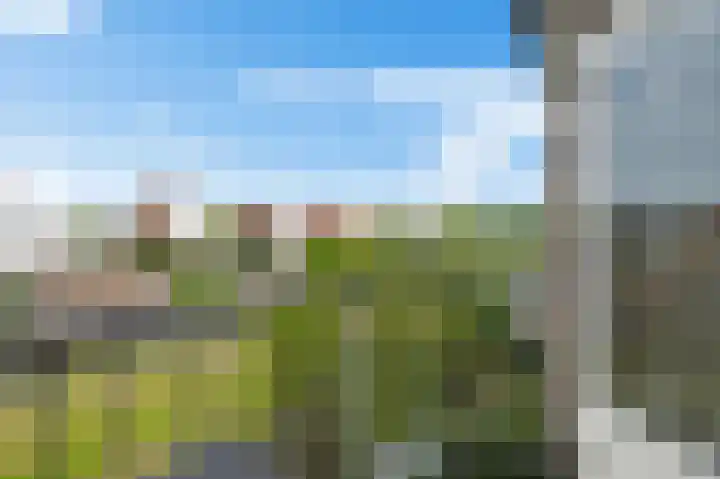 De Vlet 26 1 Grou thumbnail 25