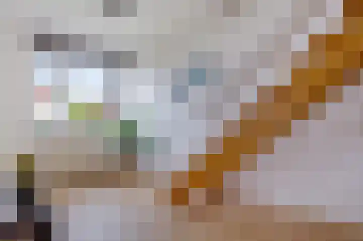 De Vlet 26 1 Grou thumbnail 28