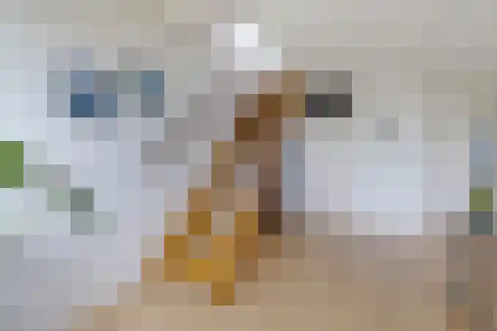 De Vlet 26 1 Grou thumbnail 29