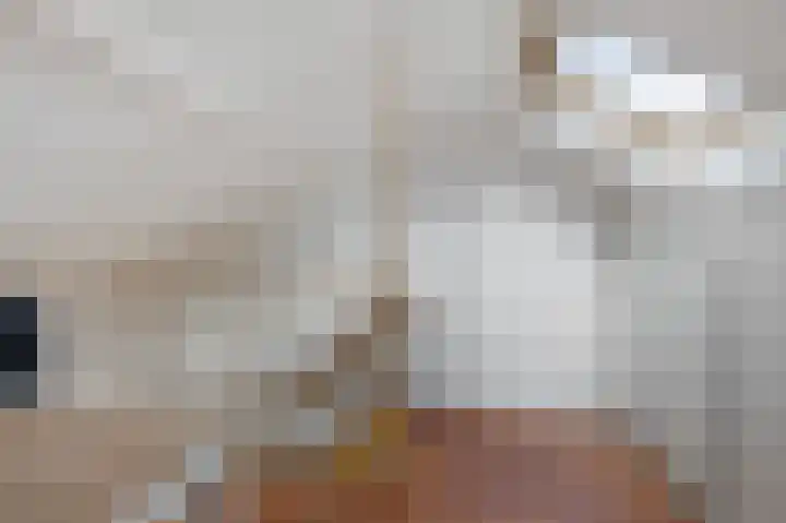 De Vlet 26 1 Grou thumbnail 31