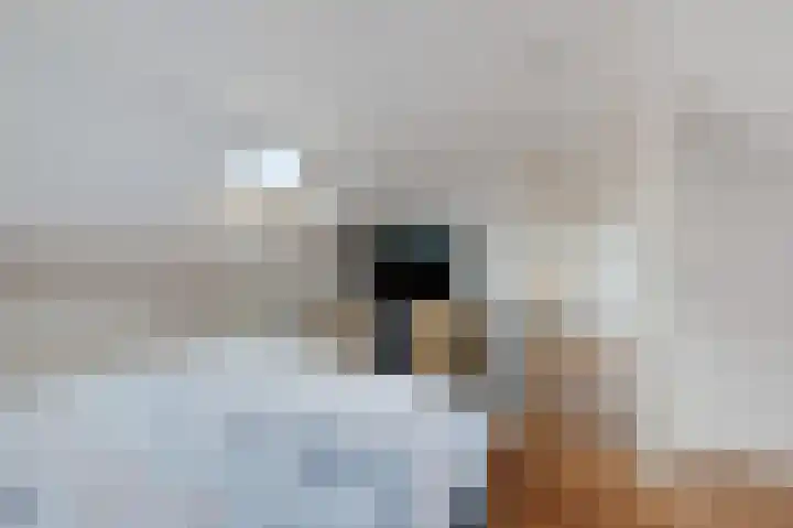 De Vlet 26 1 Grou thumbnail 34