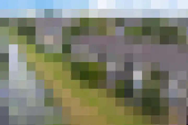 De Vlet 26 1 Grou thumbnail 36