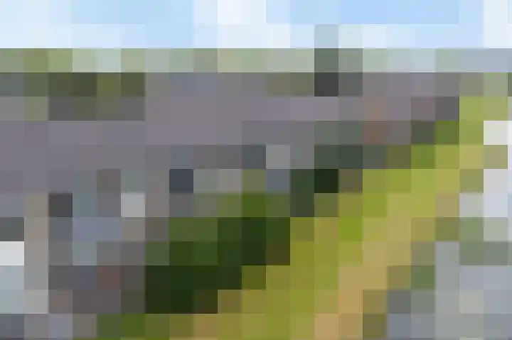 De Vlet 26 1 Grou thumbnail 37