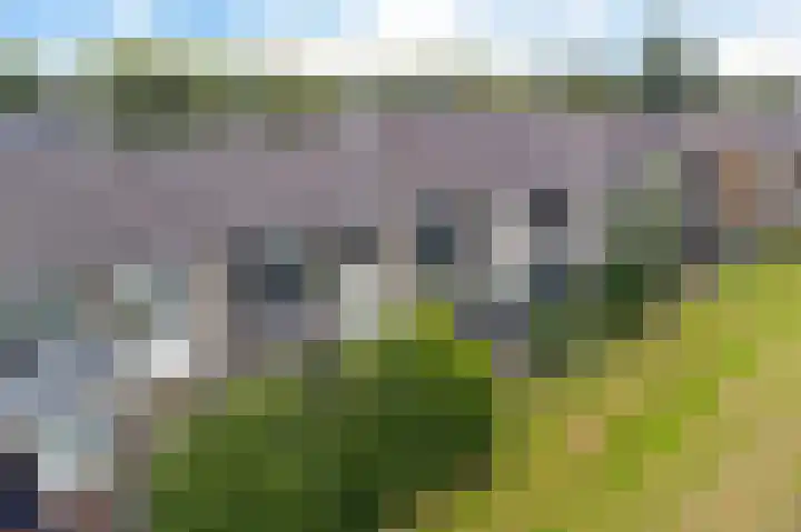 De Vlet 26 1 Grou thumbnail 38