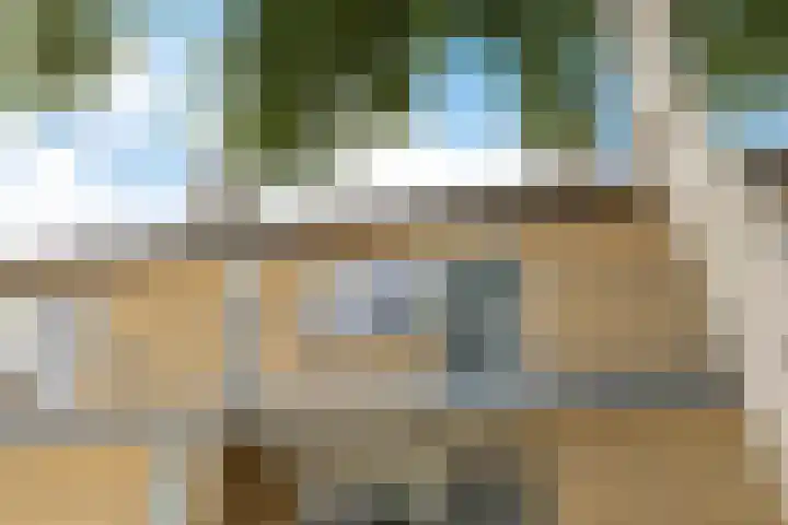 De Vlet 26 1 Grou thumbnail 4