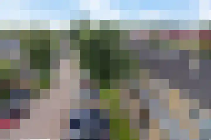 De Vlet 26 1 Grou thumbnail 8