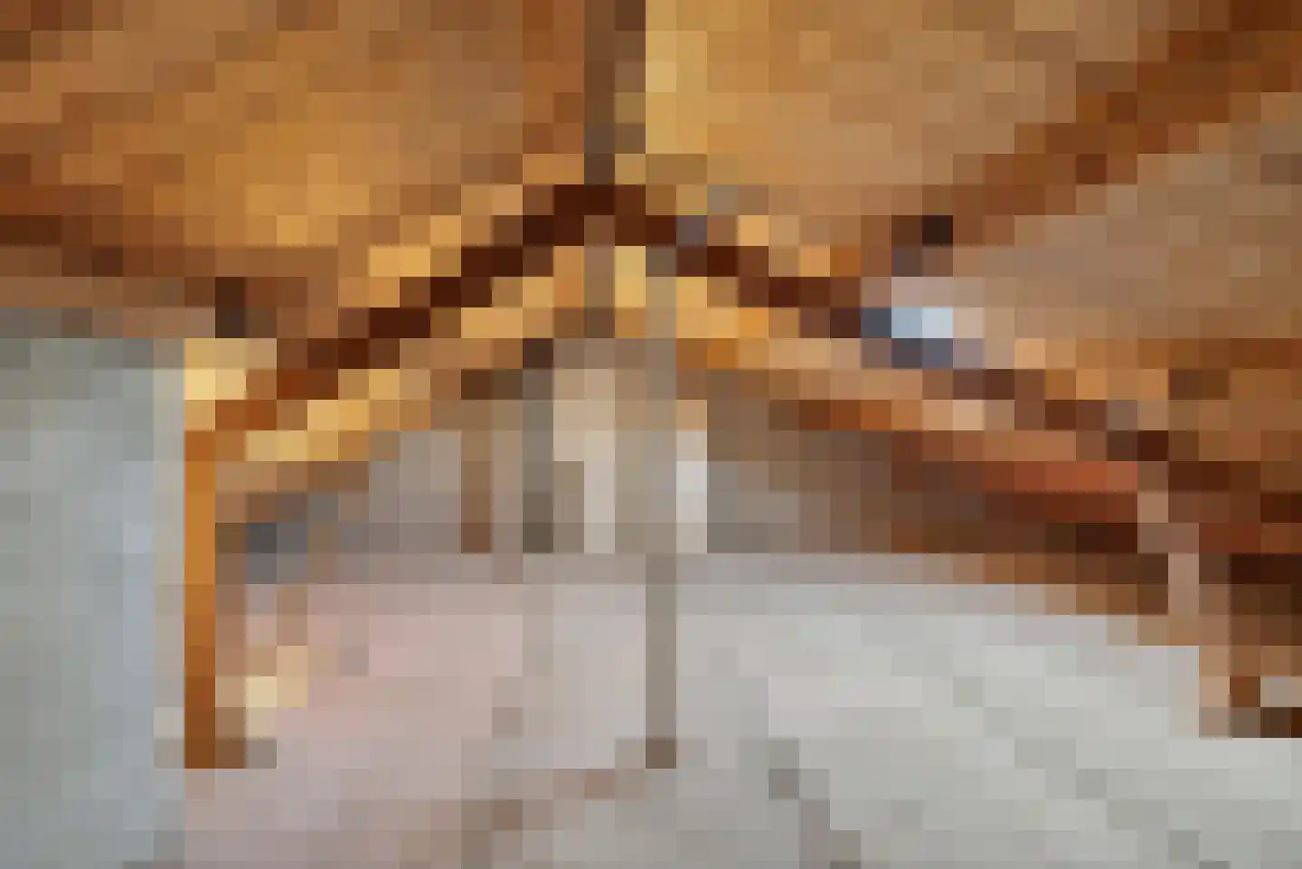 De Vlet 28 1 Grou thumbnail 33