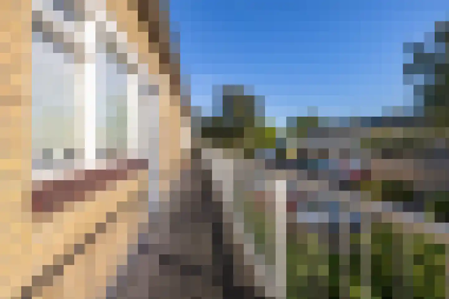 De Vlet 28 1 Grou thumbnail 6