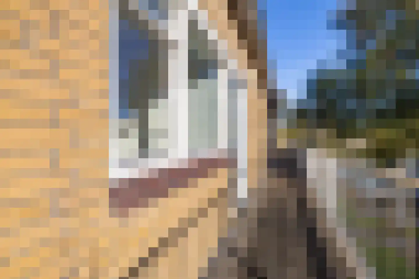 De Vlet 28 1 Grou thumbnail 7