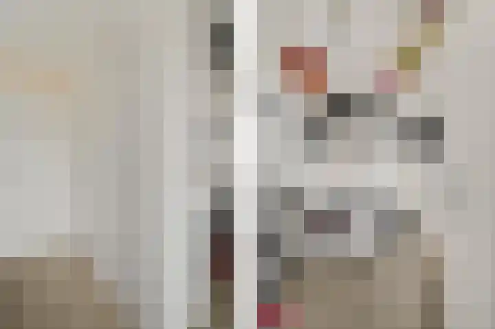 De Vlet 34 1 Grou thumbnail 8