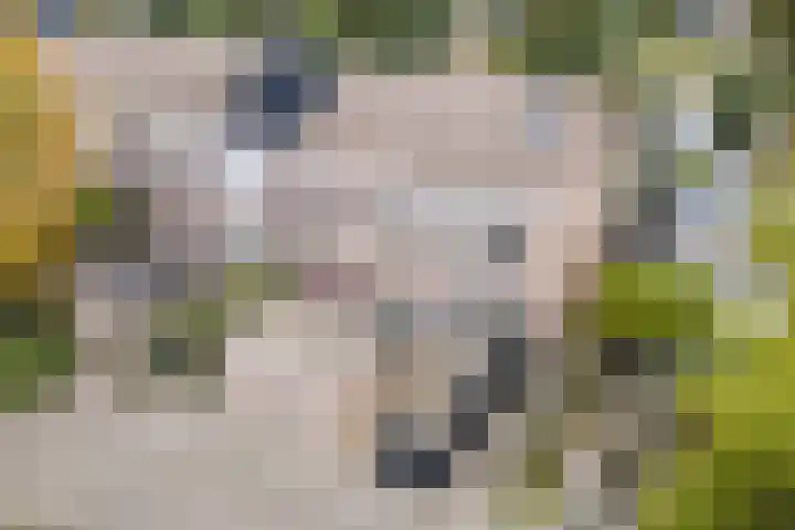 De Vlet 35 Tuitjenhorn