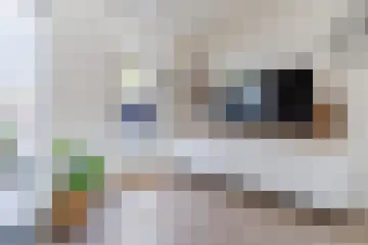 De Vlet 35 Tuitjenhorn thumbnail 10