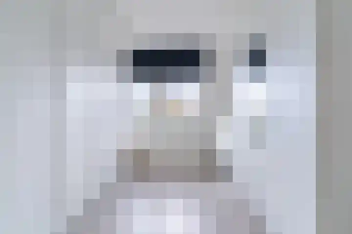 De Vlet 35 Tuitjenhorn thumbnail 20