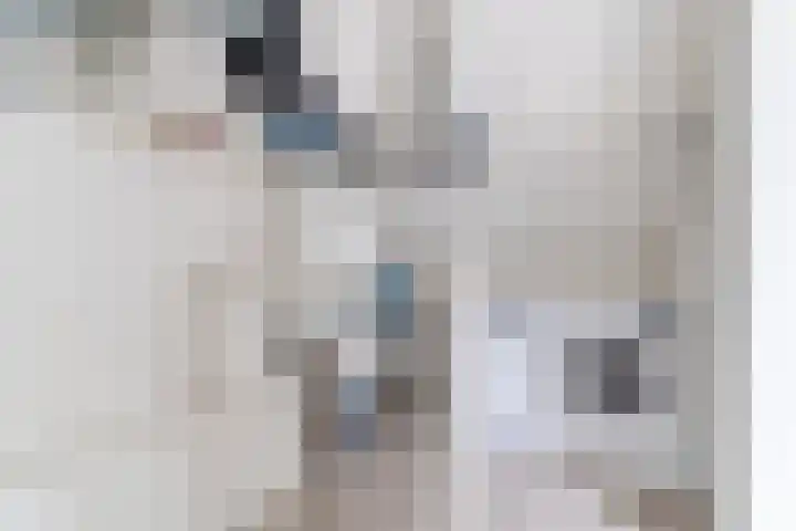 De Vlet 35 Tuitjenhorn thumbnail 26