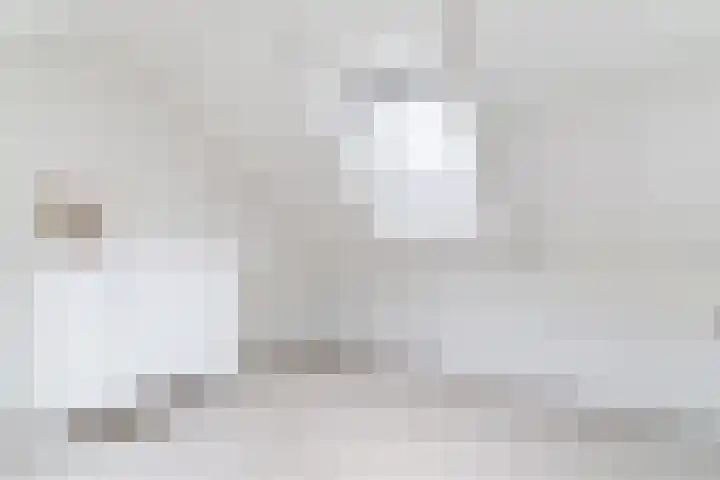 De Vlet 35 Tuitjenhorn thumbnail 27