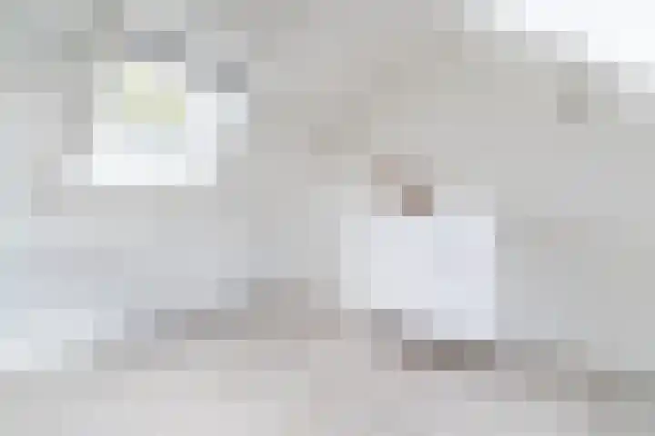 De Vlet 35 Tuitjenhorn thumbnail 28