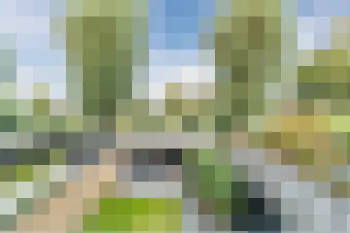 De Vlet 35 Tuitjenhorn thumbnail 29