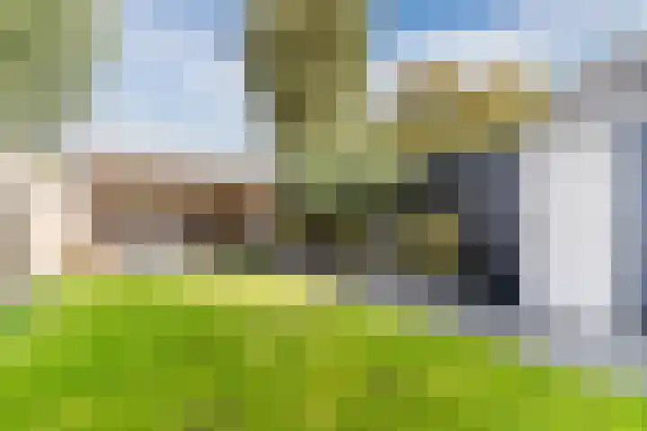 De Vlet 35 Tuitjenhorn thumbnail 30