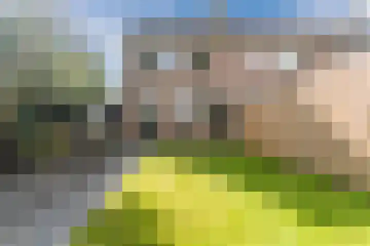 De Vlet 35 Tuitjenhorn thumbnail 31