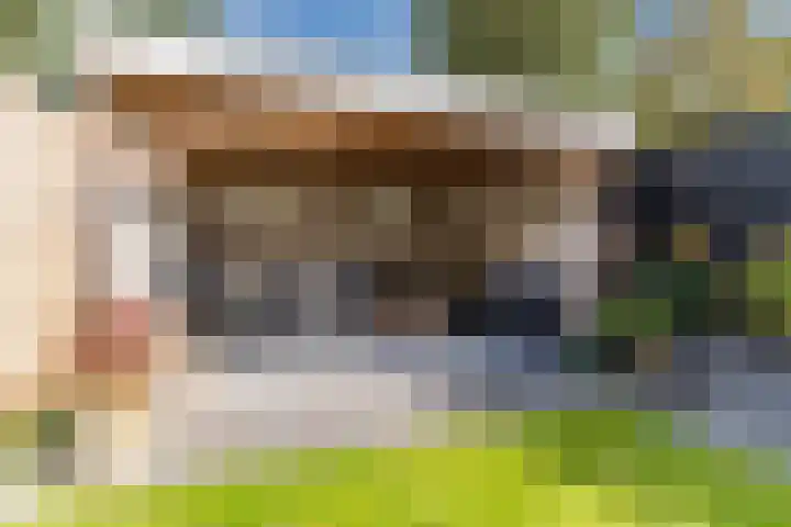 De Vlet 35 Tuitjenhorn thumbnail 32