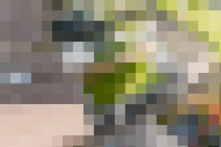 De Vlet 35 Tuitjenhorn thumbnail 33