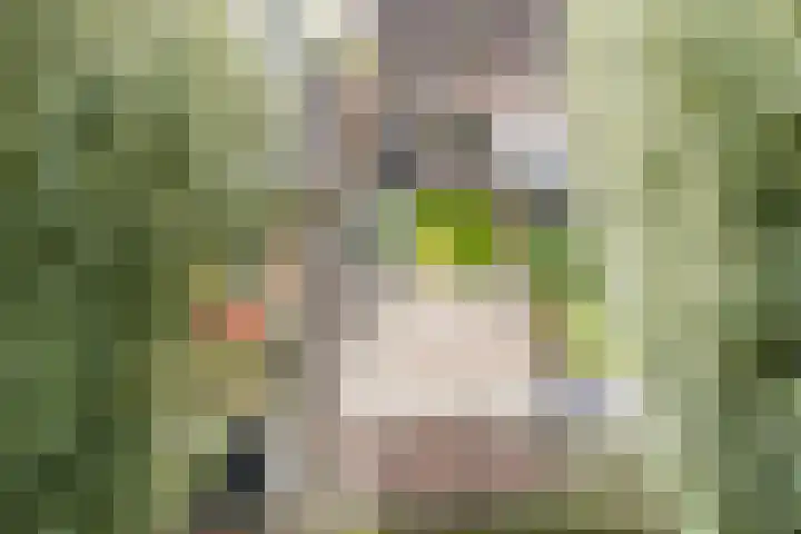 De Vlet 35 Tuitjenhorn thumbnail 34