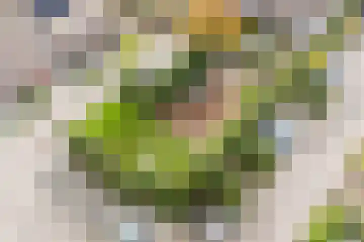 De Vlet 35 Tuitjenhorn thumbnail 35