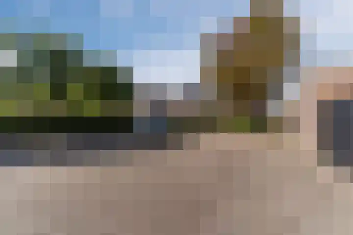 De Vlet 35 Tuitjenhorn thumbnail 36