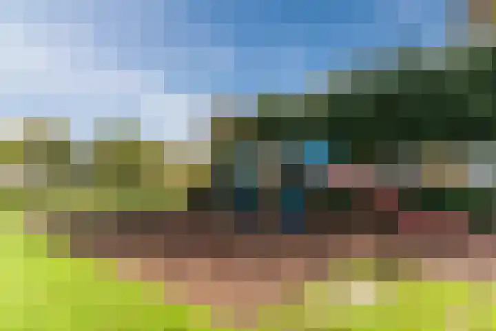 De Vlet 35 Tuitjenhorn thumbnail 37