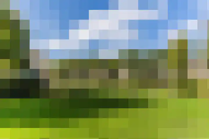De Vlet 35 Tuitjenhorn thumbnail 38