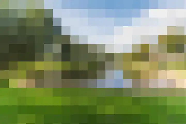 De Vlet 35 Tuitjenhorn thumbnail 39
