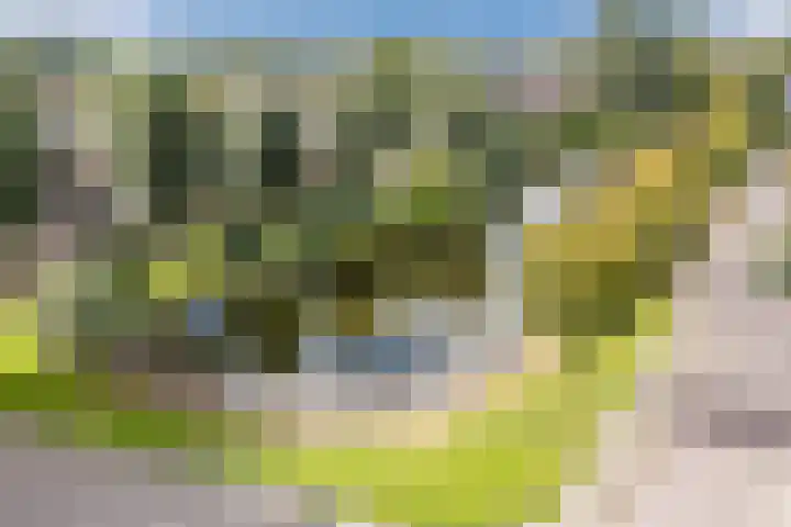 De Vlet 35 Tuitjenhorn thumbnail 40