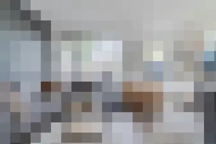 De Vlet 35 Tuitjenhorn thumbnail 8