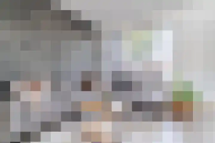 De Vlet 35 Tuitjenhorn thumbnail 9
