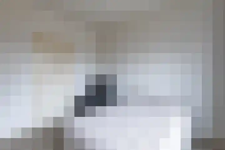 De Vlet 41 Tuitjenhorn thumbnail 15
