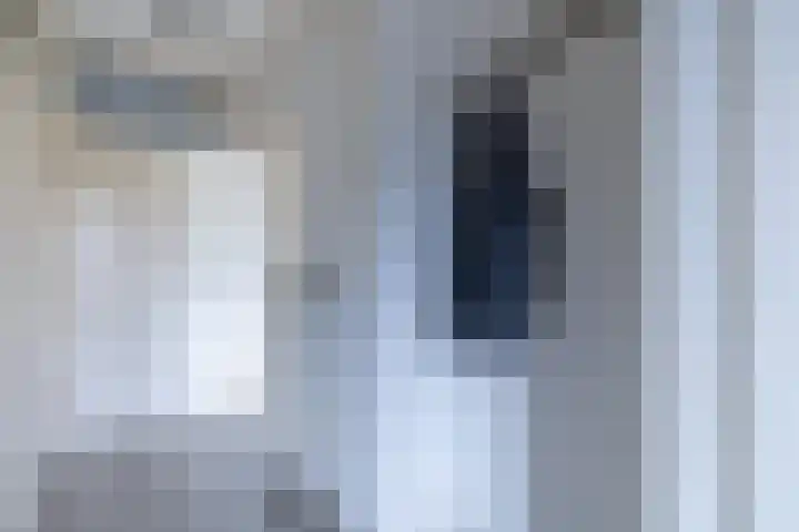 De Vlet 41 Tuitjenhorn thumbnail 20