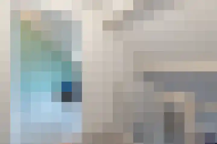 De Vlet 41 Tuitjenhorn thumbnail 22