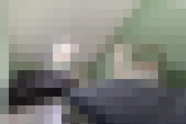 De Vlet 41 Tuitjenhorn thumbnail 25