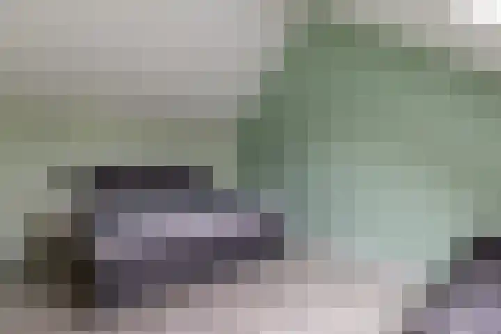 De Vlet 41 Tuitjenhorn thumbnail 26