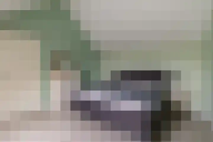De Vlet 41 Tuitjenhorn thumbnail 27