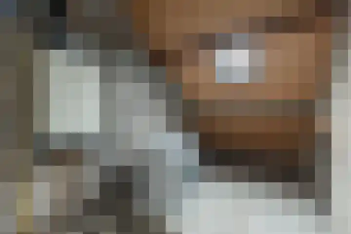 De Vlet 41 Tuitjenhorn thumbnail 28