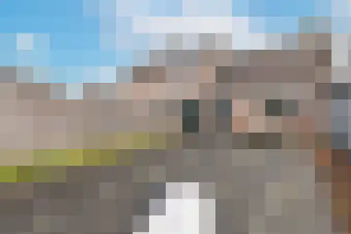 De Vlet 41 Tuitjenhorn thumbnail 33