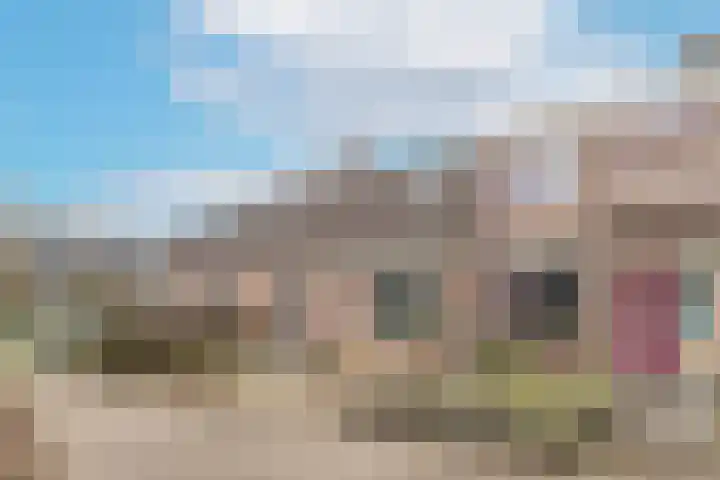 De Vlet 41 Tuitjenhorn thumbnail 36