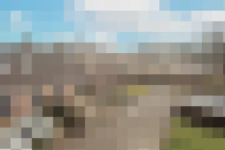 De Vlet 41 Tuitjenhorn thumbnail 39