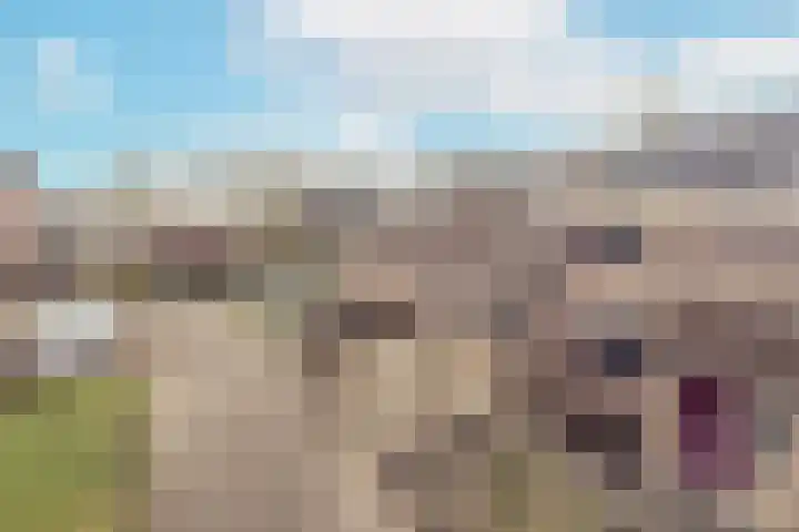 De Vlet 41 Tuitjenhorn thumbnail 40