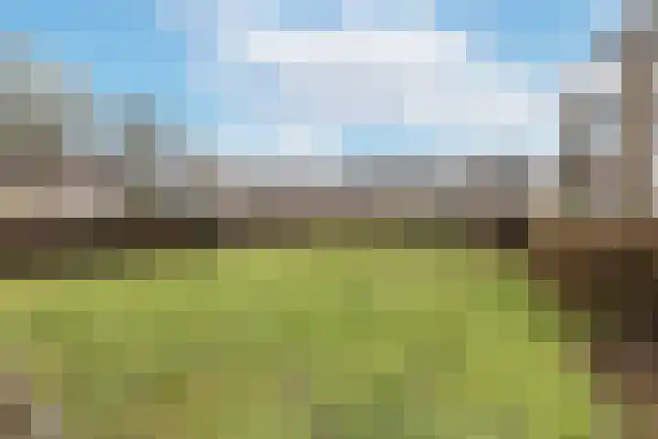 De Vlet 41 Tuitjenhorn thumbnail 41